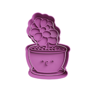 Planta en Maceta Cortador de Galletas