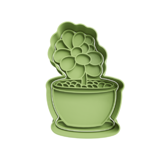 Planta en Maceta Cortador de Galletas