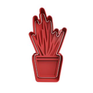 Cactus Cortador de Galletas